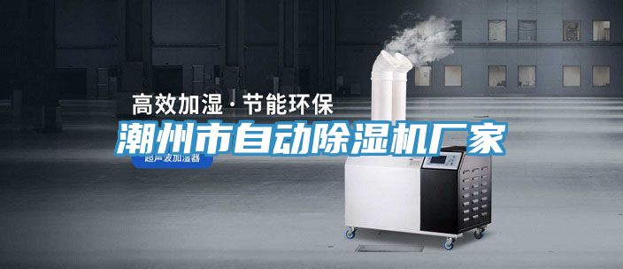 潮州市自動除濕機廠家