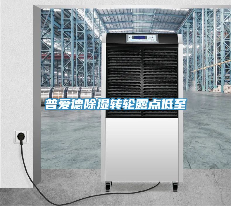 普愛德除濕轉輪露點低至