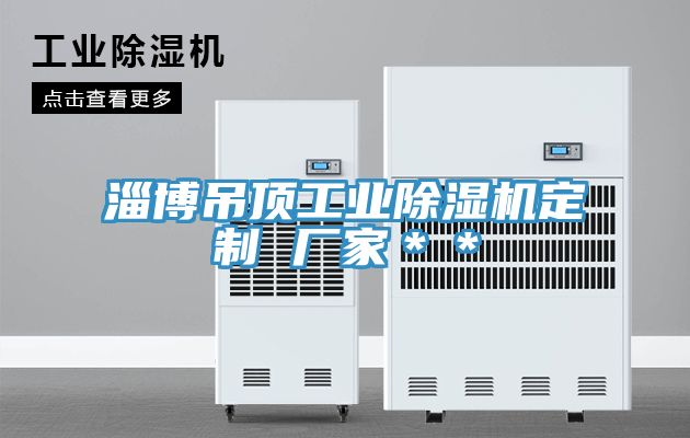 淄博吊頂工業(yè)除濕機(jī)定制 廠家**