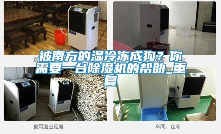 被南方的濕冷凍成狗?你需要一臺除濕機(jī)的幫助_重復(fù)