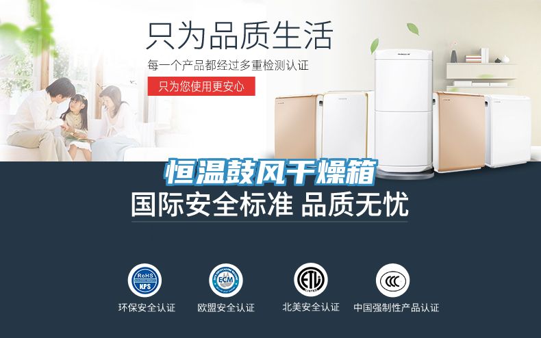 恒溫鼓風干燥箱