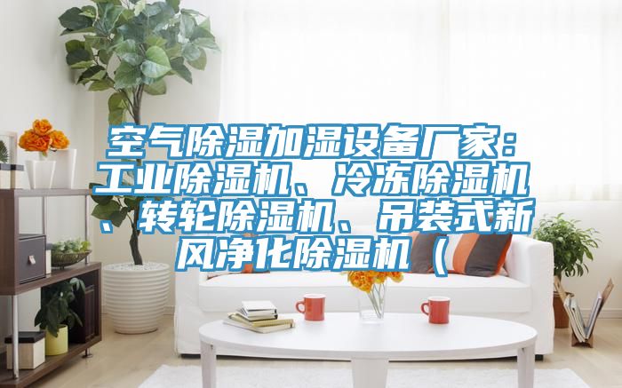 空氣除濕加濕設備廠家：工業除濕機、冷凍除濕機、轉輪除濕機、吊裝式新風凈化除濕機（