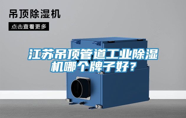 江蘇吊頂管道工業除濕機哪個牌子好?