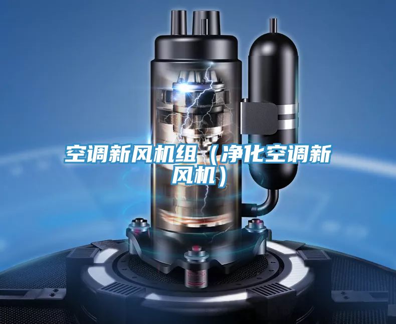 空調(diào)新風機組（凈化空調(diào)新風機）