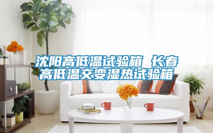 沈陽高低溫試驗(yàn)箱 長春高低溫交變濕熱試驗(yàn)箱