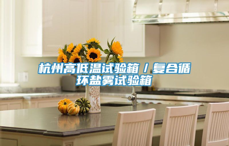 杭州高低溫試驗箱／復合循環鹽霧試驗箱