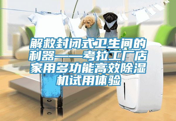 解救封閉式衛(wèi)生間的利器——考拉工廠店家用多功能高效除濕機試用體驗