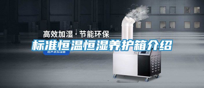 標準恒溫恒濕養護箱介紹