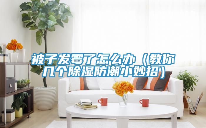 被子發霉了怎么辦（教你幾個除濕防潮小妙招）