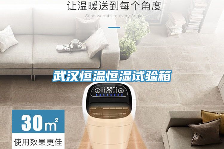 武漢恒溫恒濕試驗箱