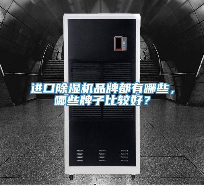進口除濕機品牌都有哪些，哪些牌子比較好？