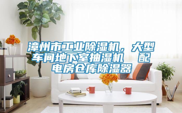 漳州市工業除濕機，大型車間地下室抽濕機  配電房倉庫除濕器