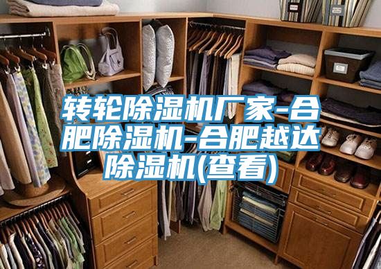 轉輪除濕機廠家-合肥除濕機-合肥越達除濕機(查看)