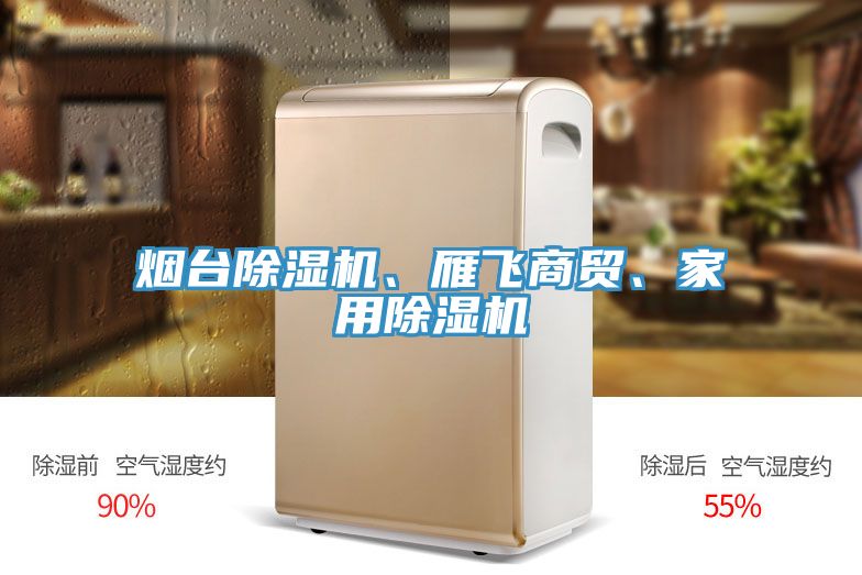 煙臺除濕機、雁飛商貿、家用除濕機