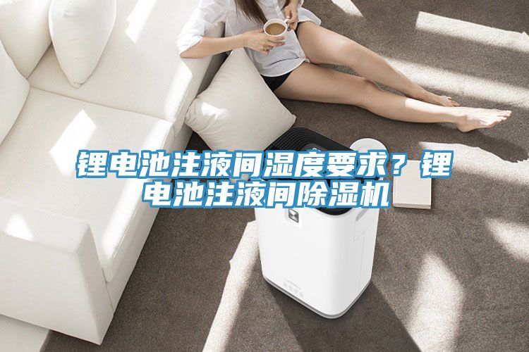 鋰電池注液間濕度要求？鋰電池注液間除濕機