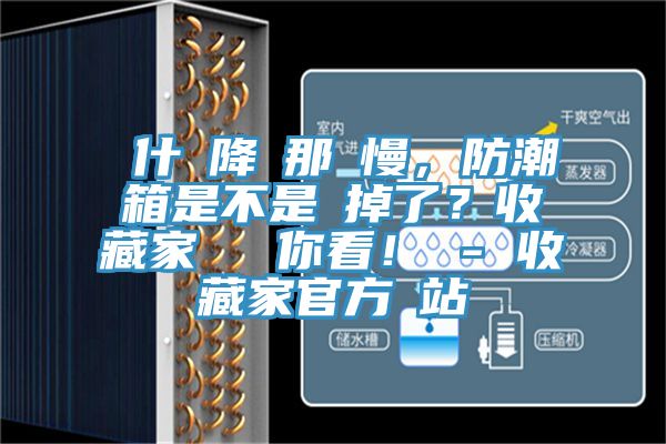 為什麼降濕那麼慢，防潮箱是不是壞掉了？收藏家實測給你看！ - 收藏家官方網站