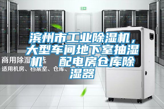 濱州市工業(yè)除濕機，大型車間地下室抽濕機  配電房倉庫除濕器