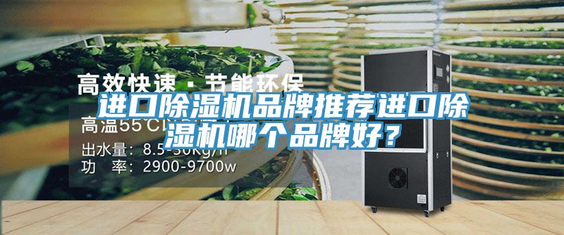 進口除濕機品牌推薦進口除濕機哪個品牌好？