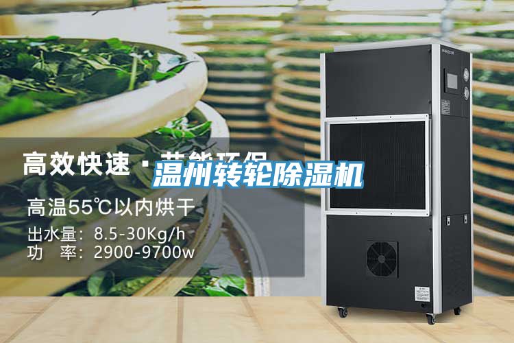 溫州轉輪除濕機