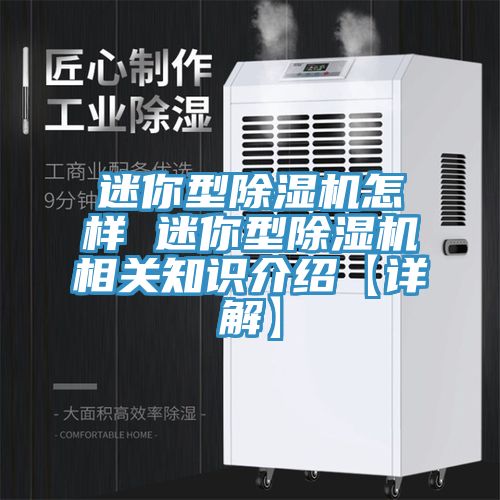 迷你型除濕機怎樣 迷你型除濕機相關知識介紹【詳解】