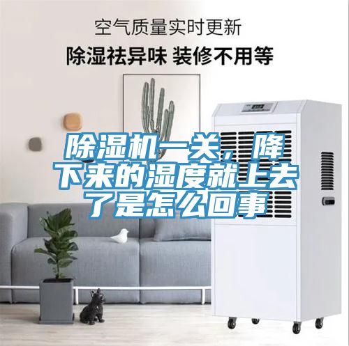 除濕機一關，降下來的濕度就上去了是怎么回事