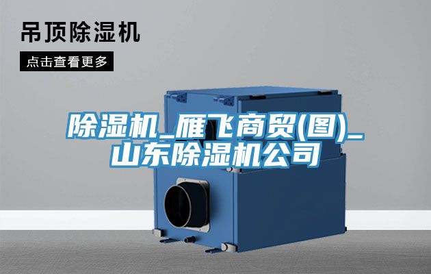 除濕機_雁飛商貿(圖)_山東除濕機公司