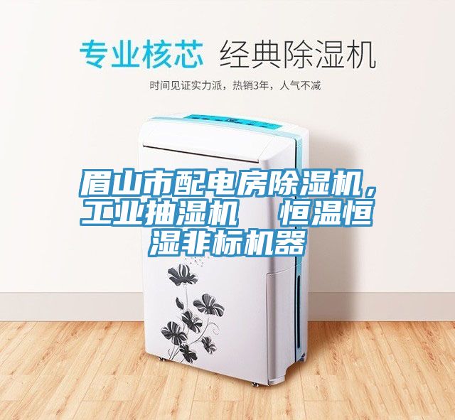 眉山市配電房除濕機，工業抽濕機  恒溫恒濕非標機器
