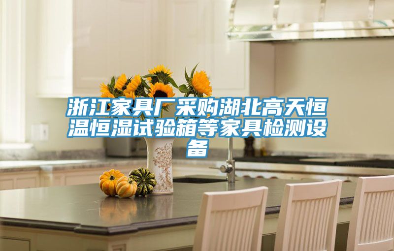 浙江家具廠采購湖北高天恒溫恒濕試驗箱等家具檢測設備