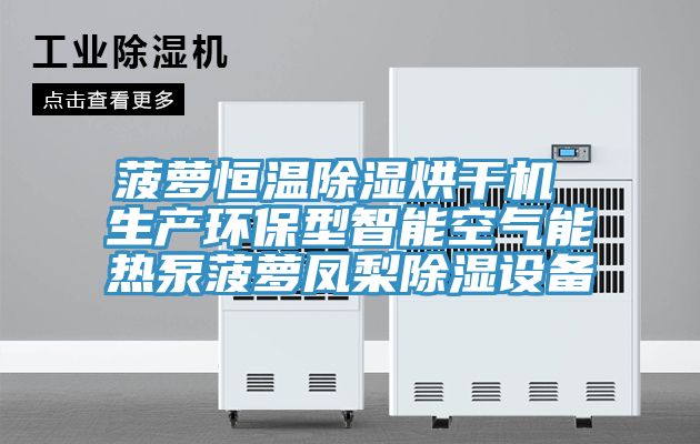 菠蘿恒溫除濕烘干機 生產環保型智能空氣能熱泵菠蘿鳳梨除濕設備