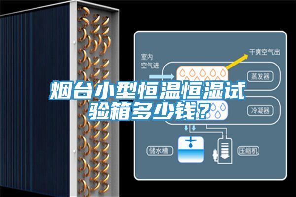 煙臺小型恒溫恒濕試驗箱多少錢？