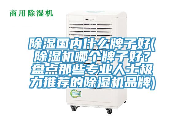 除濕國內什么牌子好(除濕機哪個牌子好？盤點那些專業人士極力推薦的除濕機品牌)