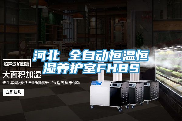 河北 全自動恒溫恒濕養護室FHBS