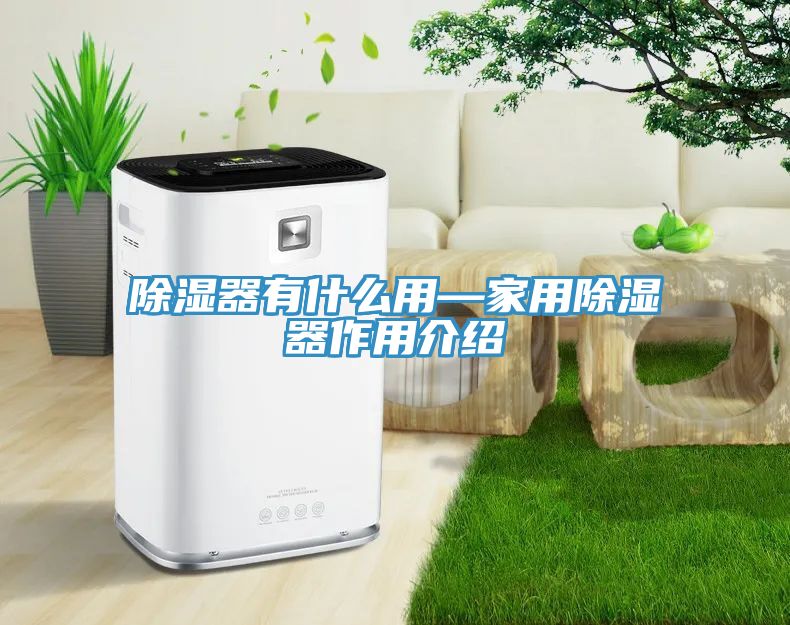 除濕器有什么用—家用除濕器作用介紹
