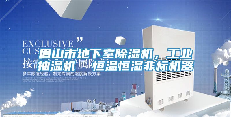 眉山市地下室除濕機，工業抽濕機  恒溫恒濕非標機器
