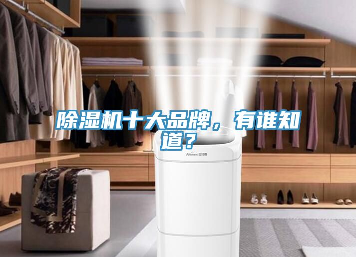 除濕機十大品牌，有誰知道？