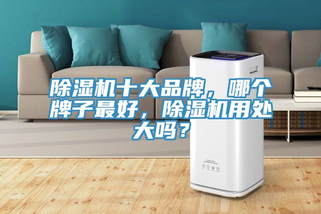 除濕機十大品牌，哪個牌子最好，除濕機用處大嗎？