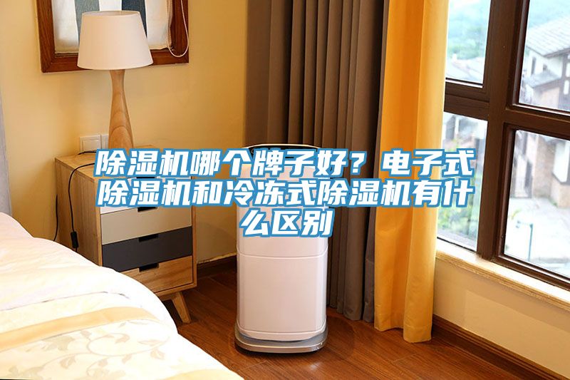 除濕機哪個牌子好?電子式除濕機和冷凍式除濕機有什么區(qū)別