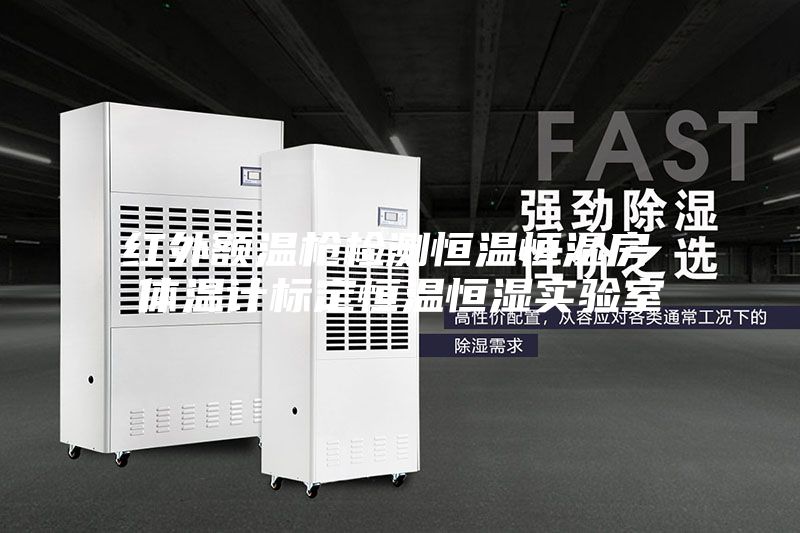 紅外額溫槍檢測恒溫恒濕房 體溫計標定恒溫恒濕實驗室