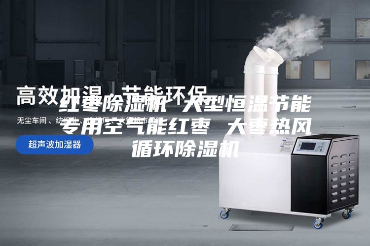 紅棗除濕機 大型恒溫節能專用空氣能紅棗 大棗熱風循環除濕機