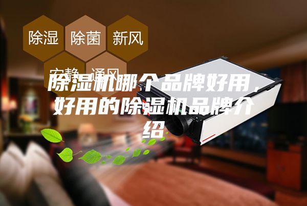 除濕機(jī)哪個品牌好用，好用的除濕機(jī)品牌介紹