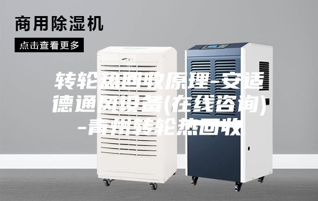 轉輪熱回收原理-安適德通風設備(在線咨詢)-青州轉輪熱回收