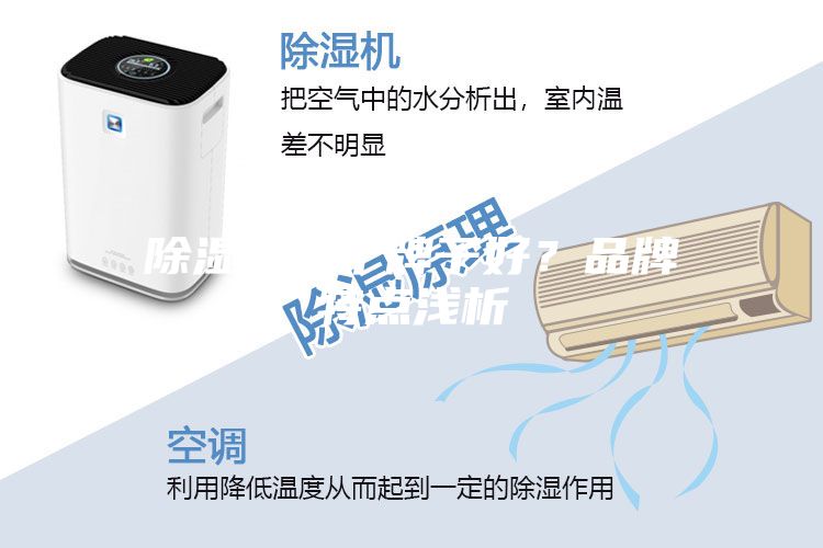 除濕機(jī)哪個(gè)牌子好？品牌特點(diǎn)淺析