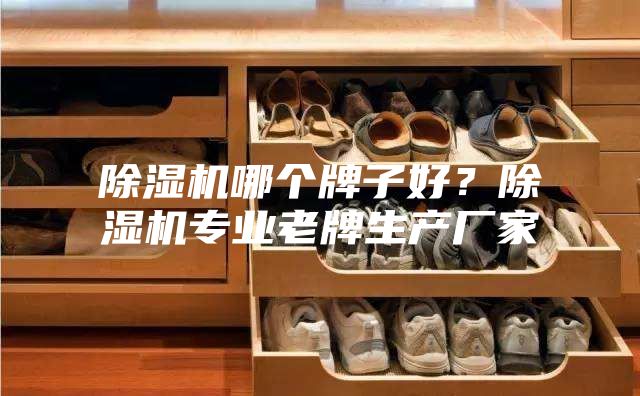 除濕機哪個牌子好？除濕機專業老牌生產廠家