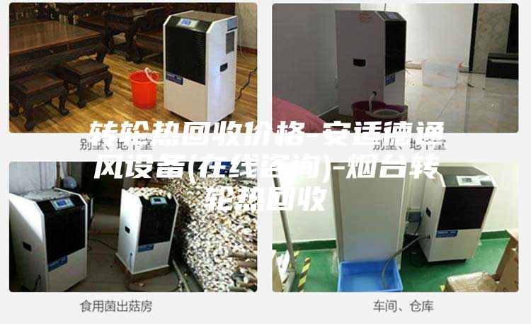 轉輪熱回收價格-安適德通風設備(在線咨詢)-煙臺轉輪熱回收