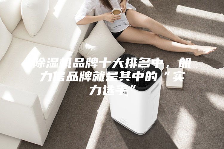 除濕機(jī)品牌十大排名中，朗力信品牌就是其中的“實(shí)力選手”