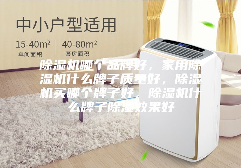 除濕機哪個品牌好，家用除濕機什么牌子質(zhì)量好，除濕機買哪個牌子好，除濕機什么牌子除濕效果好