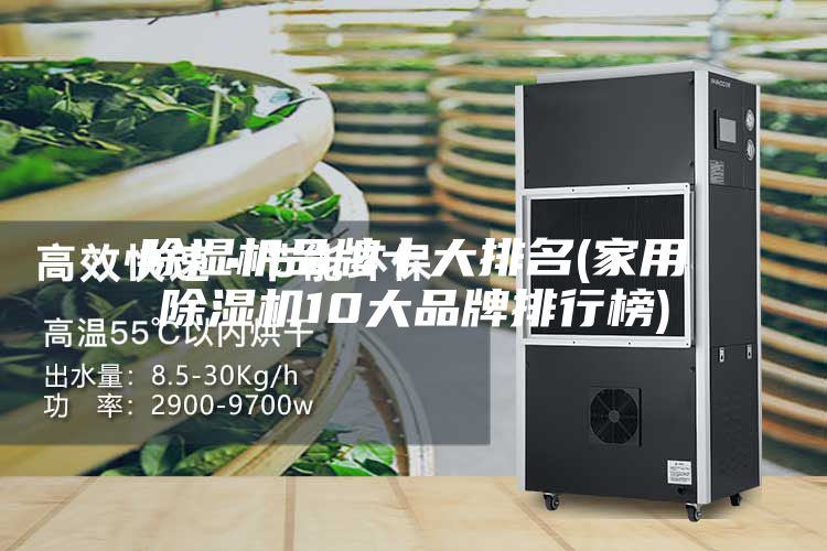 除濕機(jī)品牌十大排名(家用除濕機(jī)10大品牌排行榜)