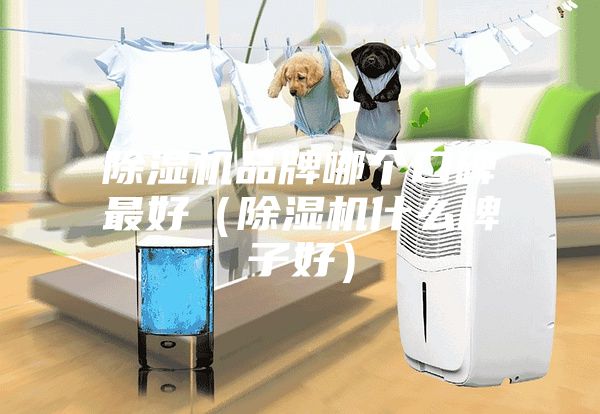 除濕機(jī)品牌哪個口碑最好（除濕機(jī)什么牌子好）
