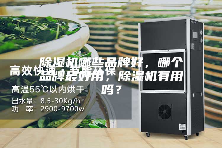 除濕機哪些品牌好，哪個品牌最好用，除濕機有用嗎？