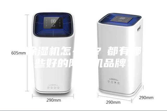 除濕機怎么選？都有哪些好的除濕機品牌？